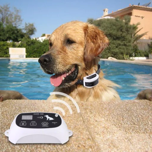Wireless Dog Fence Collar System