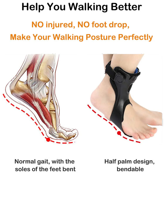 Drop Foot Brace Afo Splint, Ankle Foot Orthosis Support