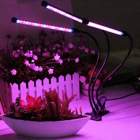 LED Grow Lights