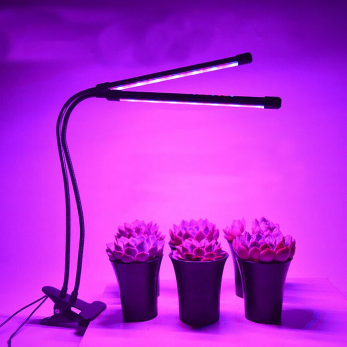 LED Grow Lights