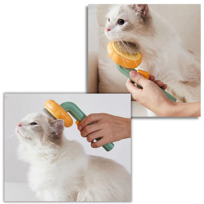 Self-Cleaning Pumpkin Pet Brush