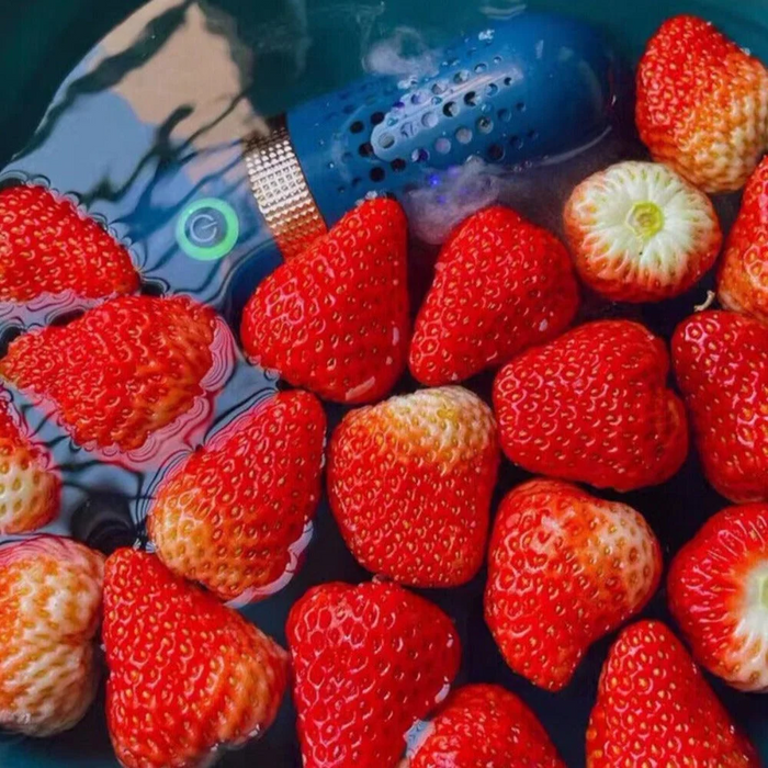 Ultrasonic Fruit & Veggie Cleaner