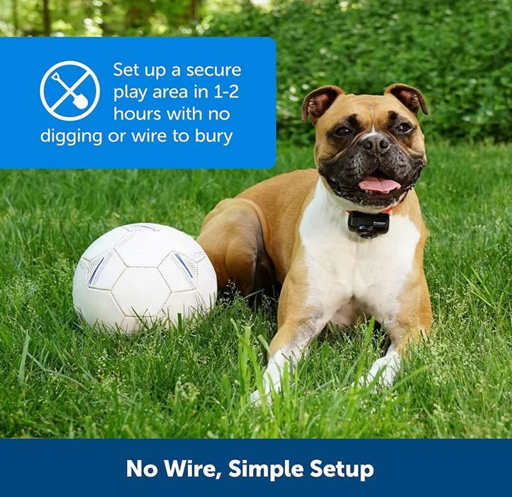 Wireless Dog Fence Collar System