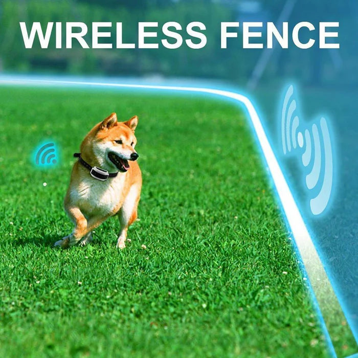 Wireless Dog Fence Collar System