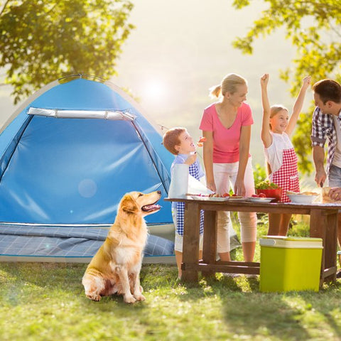 Instant Pop-Up Beach Tent - 4 Person Sun Shelter - UPF 50+