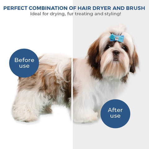 2 in 1 Pet Hair Dryer with Slicker Brush