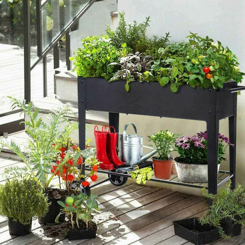 Raised garden bed on wheels | Elevated planter box | For flowers, herbs and vegetables - By Ribbedecor